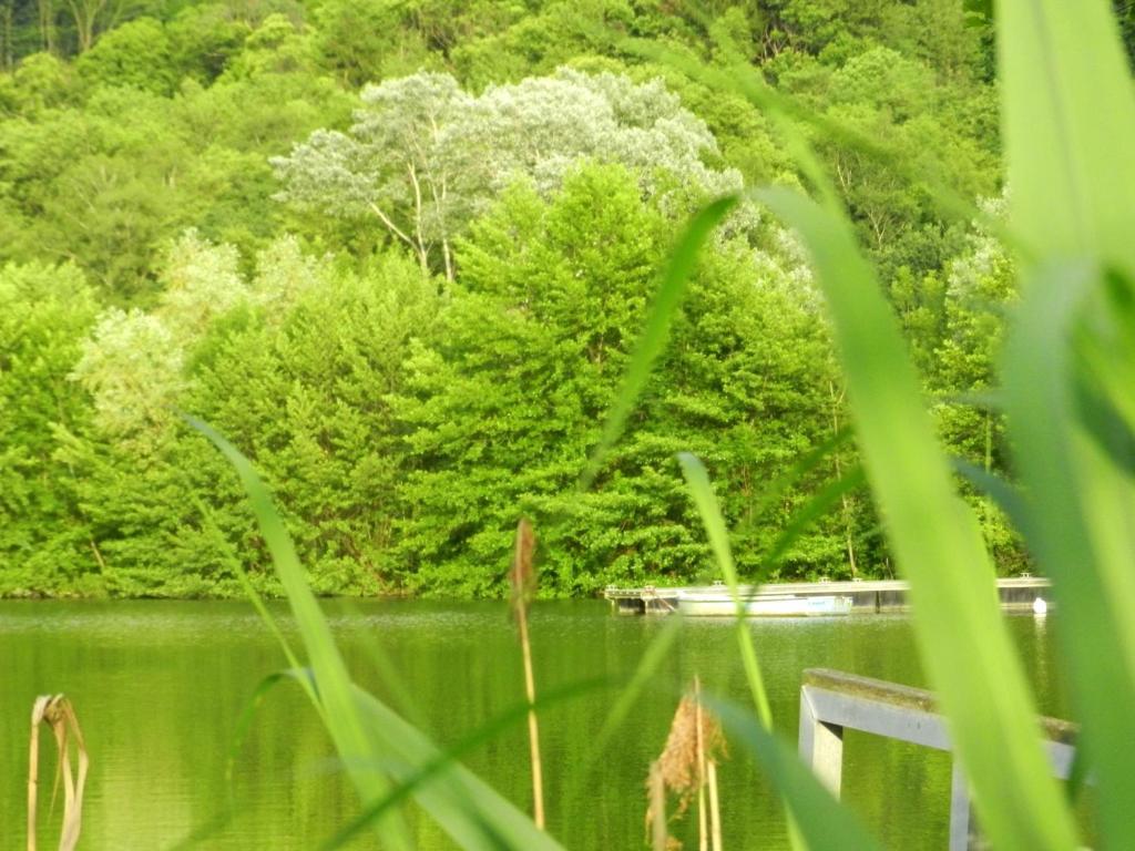 Gite Les Platanes Sainte-Helene-du-Lac Ngoại thất bức ảnh